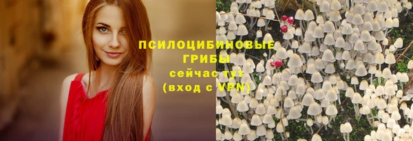 соль ск Алексин